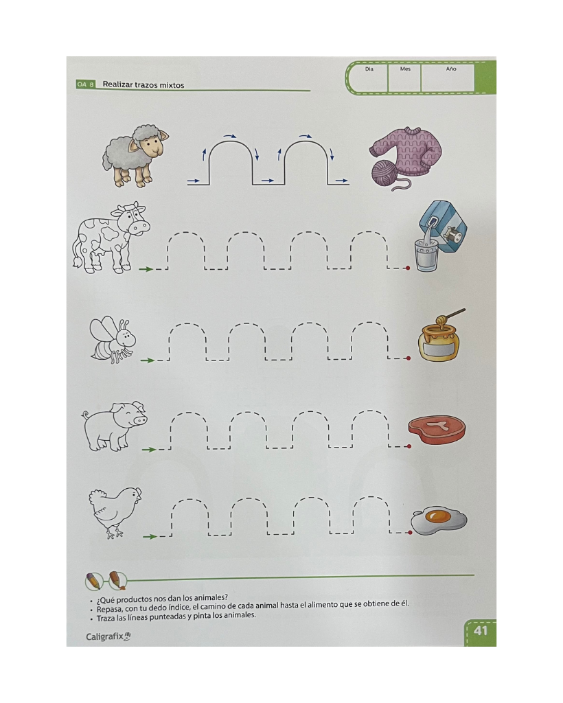 Trazos y Letras Nº1 (4 años)