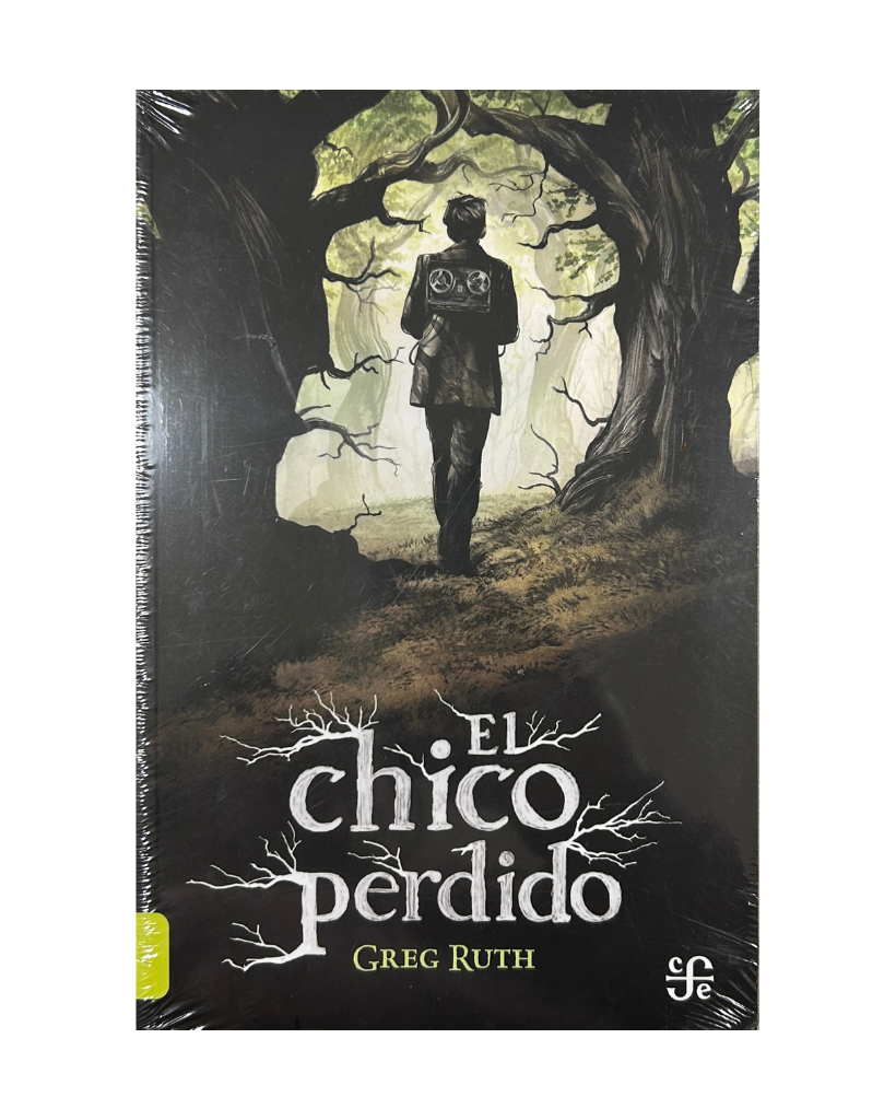 El chico perdido